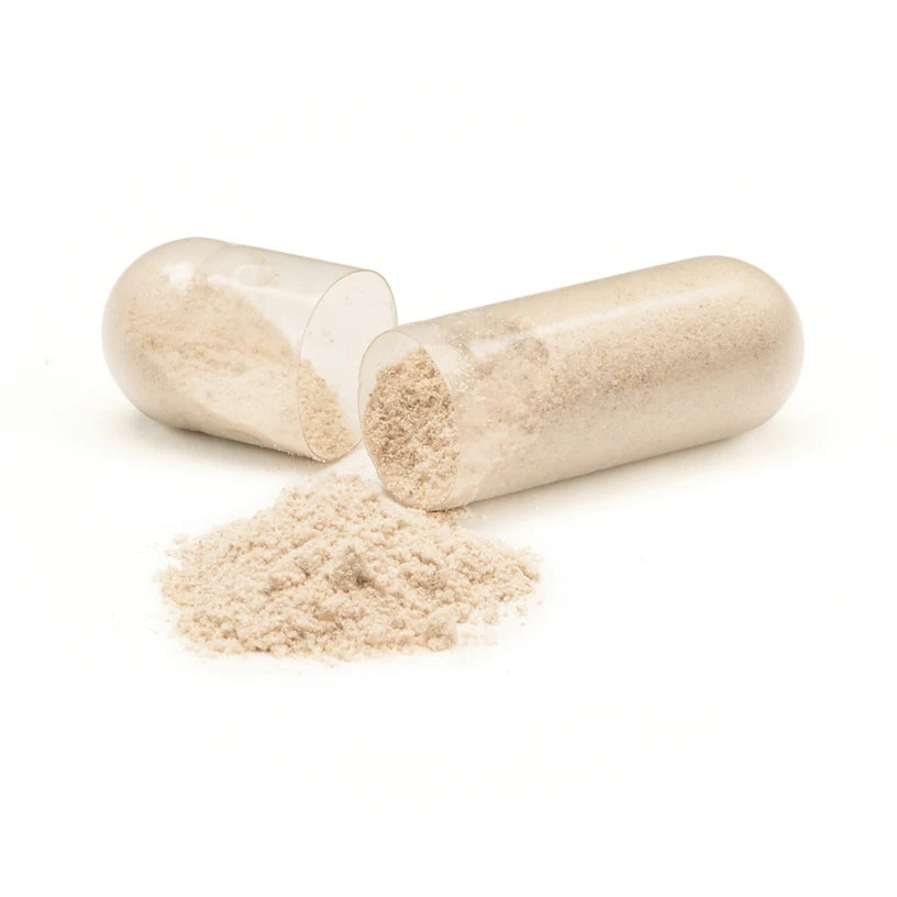 detalle capsula protector hepático kit anti resaca